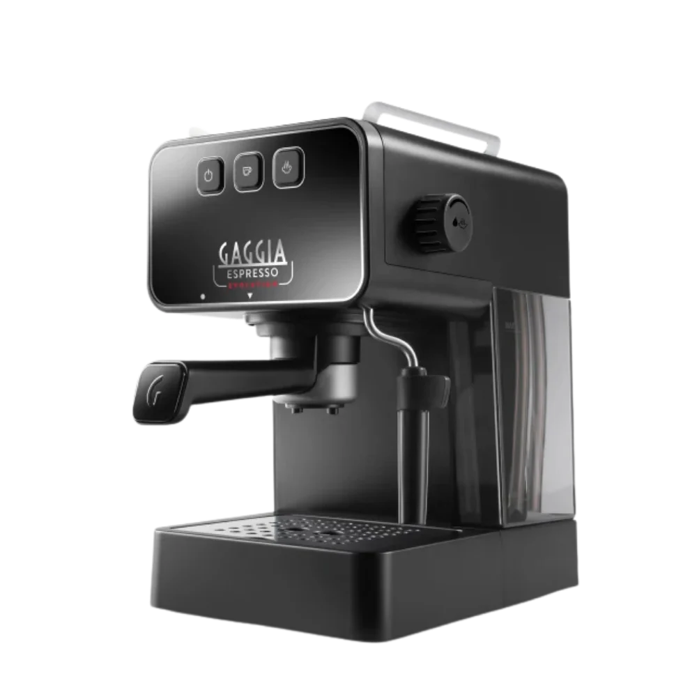 Gaggia Evolution Manual