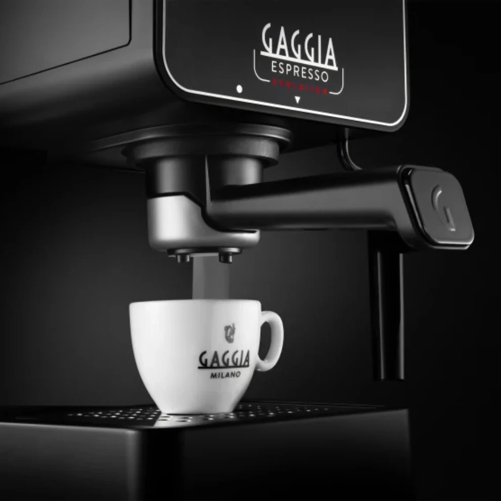 Gaggia Evolution Manual - Image 3